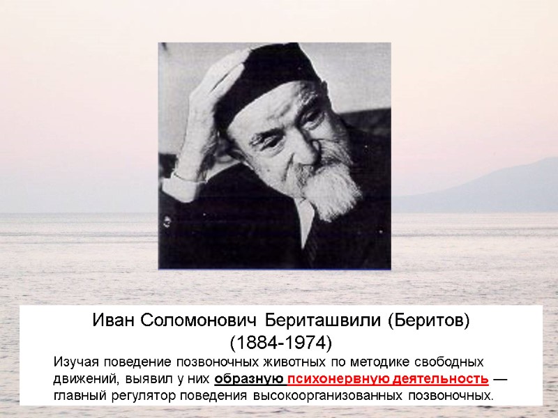 Иван Соломонович Бериташвили (Беритов) (1884-1974)  Изучая поведение позвоночных животных по методике свободных движений,